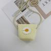 2024 Women's Mini Cartoon & Straw Flower Messenger Bags - Cute Beach Accessory
