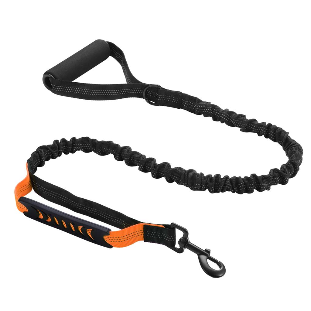 dog leash with extra handle
