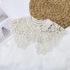Vintage Shawl O-Neck Doll Fake Collar Shirt Women Hollow Crochet Lace False Collar Detachable Woman Half Shirt Faux  Col