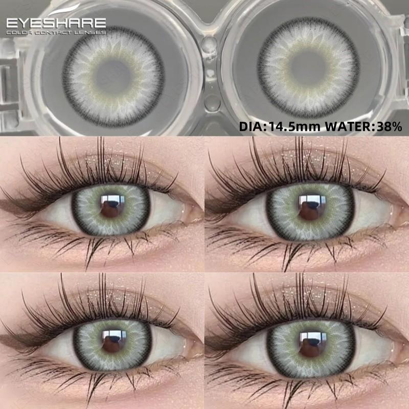 Eyeshare 1pair LOIRE Brown Color Contact Lenses Grey Colored Contact Lens Softlens Valid for 6 Months