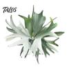 Botanical Fridge Magnets 3D Tropical Plants Refrigerator Magnet, Acrylic Green Decorative Plant Home Decor Memo Notes Photo Holder for Kitchen Office