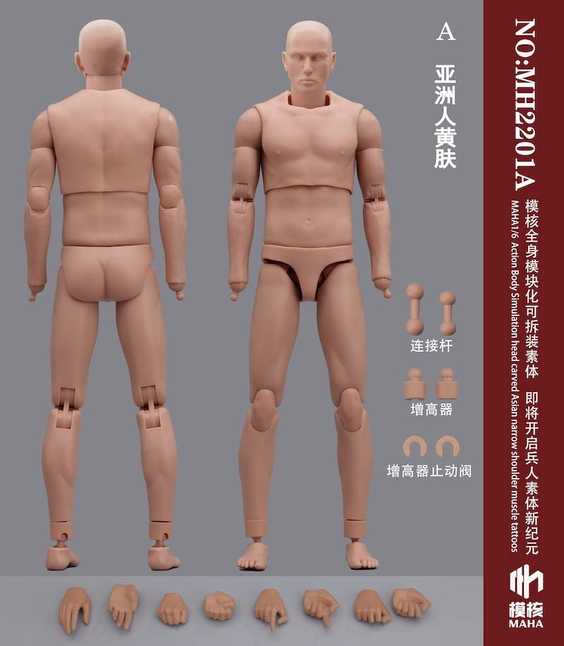 Toys & Hobbies [TOYBARJAPAN] 1/6 Scale Action Figure MAHA studio MH2201A Male Body