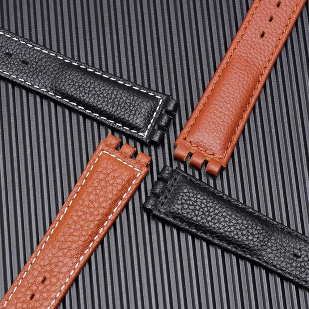 ZHUOLEI Swatch Watch Includes 3 Spring Spring Bar and Box Strap, 17mm/19mm, Bars, Remover,