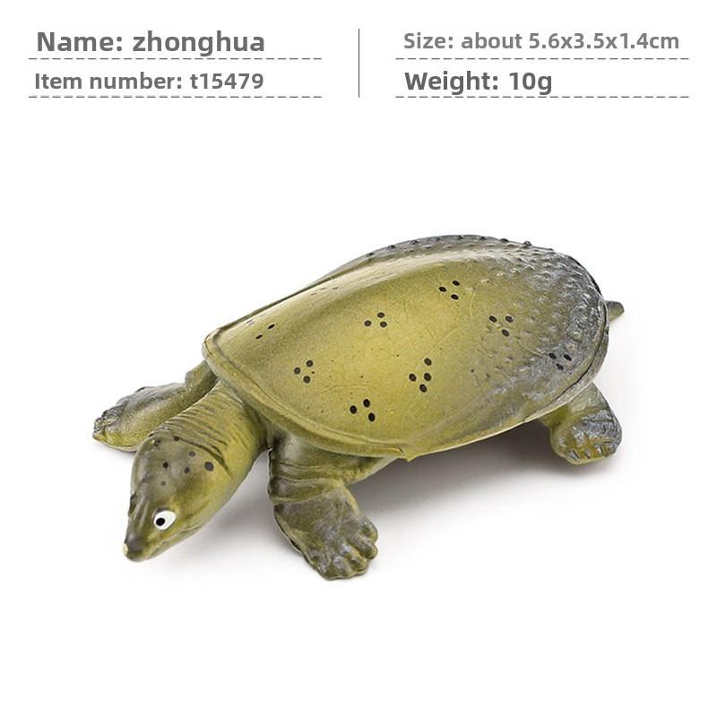 Aquatic Reptile Tortoise Pvc Model Set With Realistic Detailing For Educational Collection