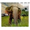 Curtain African Elephant Animal 3D Digital Printing Blackout Curtain Punching