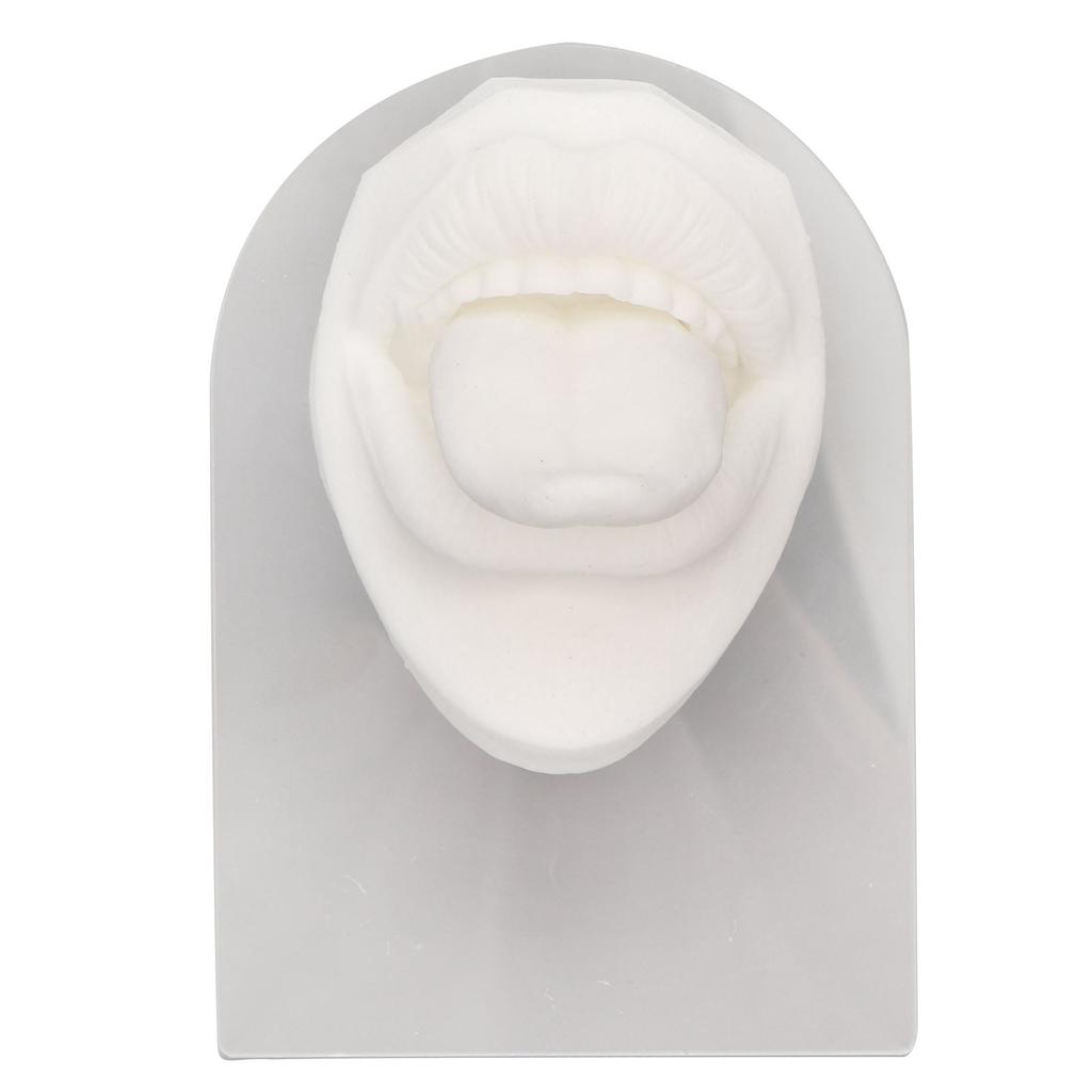 2 szt. Silikonowy Model Języka i Ust Czarno-Biały Wysoka Symulacja Wielokrotnego Użytku Ludzki Język i Usta Forma z Akrylowym Uchwytem