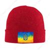 UkR Flag Bonnet Hats Cool Knitted Hat For Men Women Winter Warm Ukraine Coat Of Arms Skullies Beanies Caps