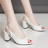 Women's Summer Casual Temperament Sandals 2024 New Style Trend Fashion Thick Heel Women Shoes Banquet Open Toe High Heels