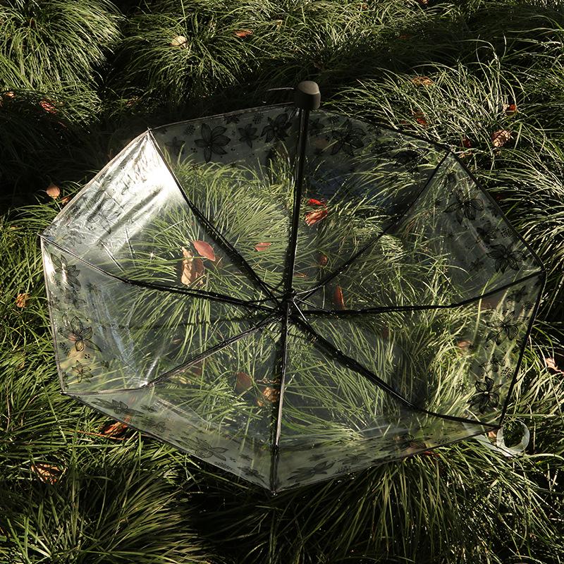 Paraguas Transparente Lindo de Dibujos Animados – Recomendado por Influencers, Ideal para Estudiantes y Sesiones de Fotos