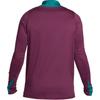 Nike Paris Saint Germain Strike Men's Nike Dri FIT Soccer Drill Top FN9841-613