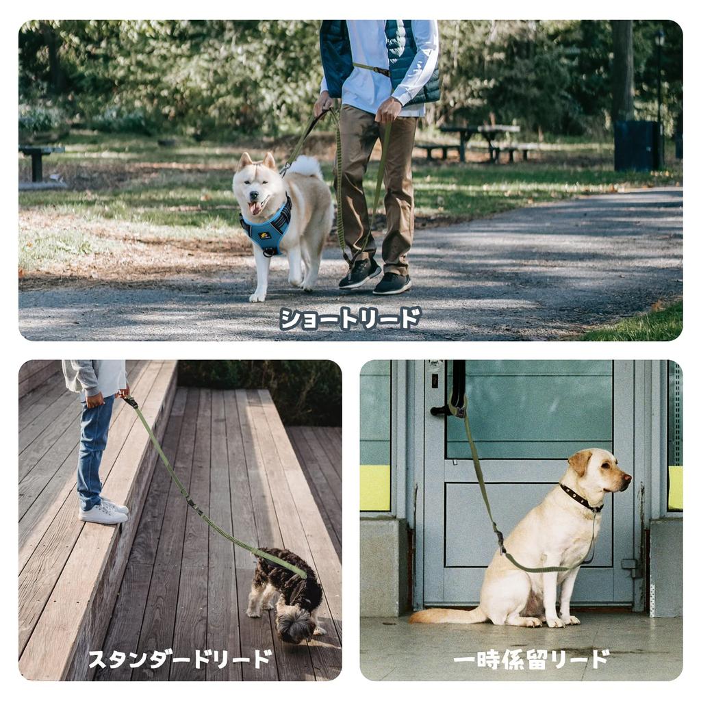 Bella Pal Multifunctional Adjustable Dog Leash Shock Absorption Reflective Training Compatible with Dog Seat Belt Extendable Bungee Deep Green &