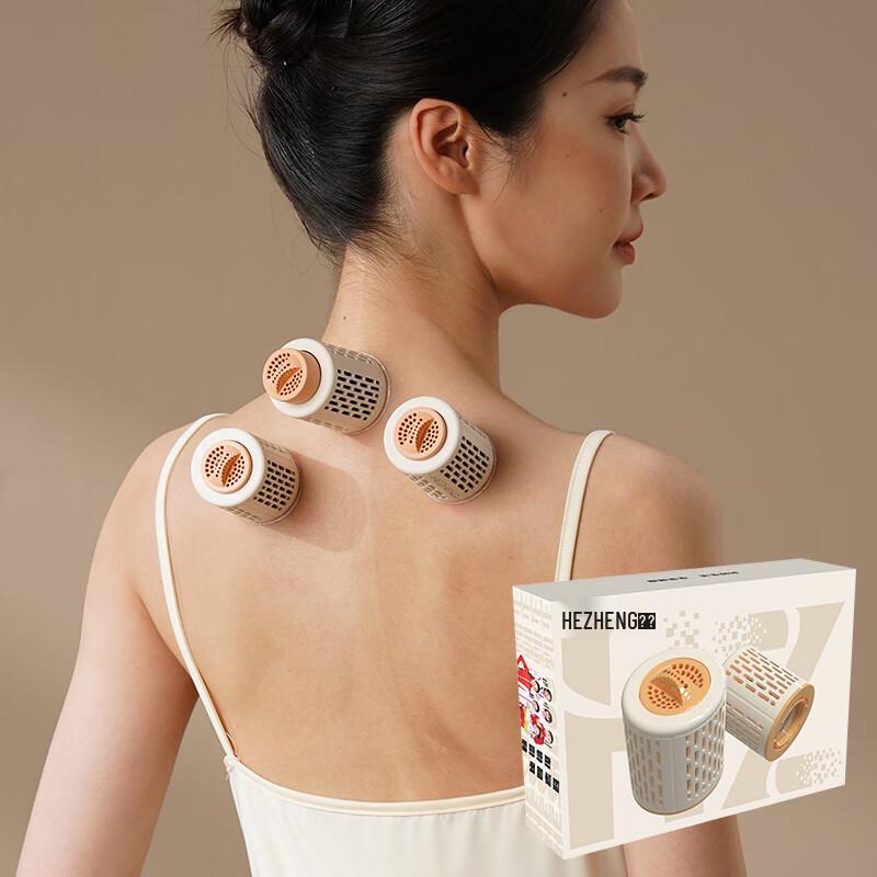 Hezheng Smokeless Moxibustion Canister 2-Pack CN Plug (adapter Included)