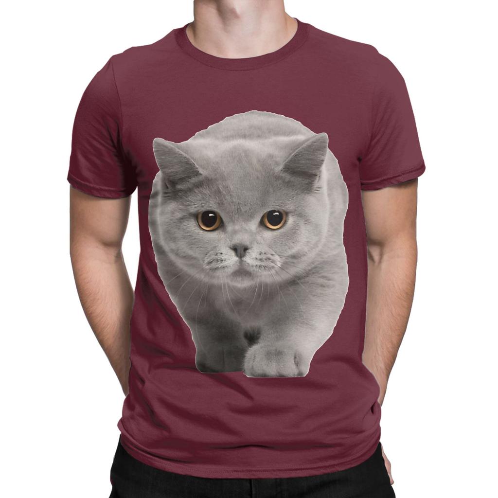 British Shorthair Graphic 100 Cotton TShirt Shorthair Tees Tops For Unisex