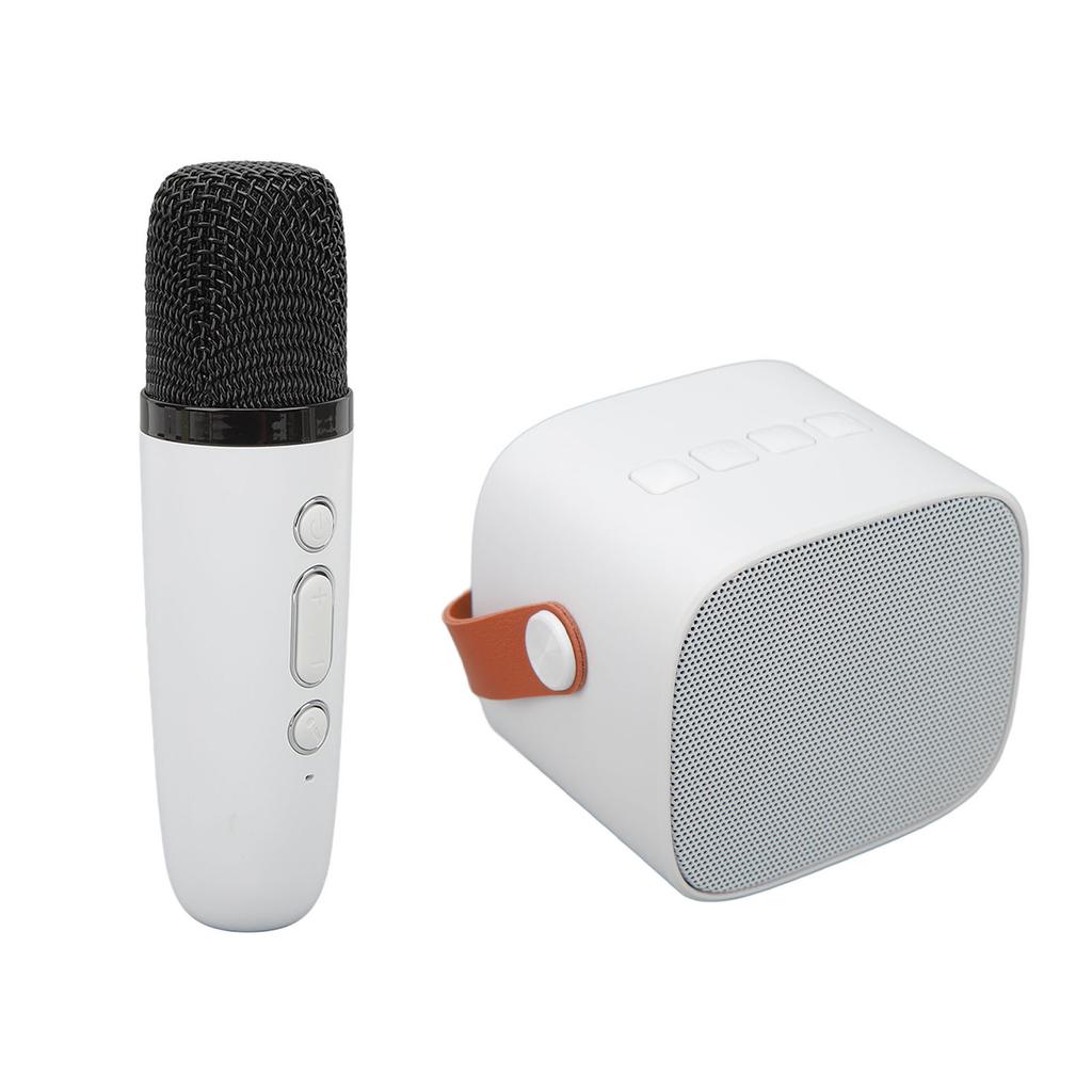 Mini Bluetooth Speaker Portable Wireless Speaker Karaoke Machine With Microphone For Home Party Birthday White