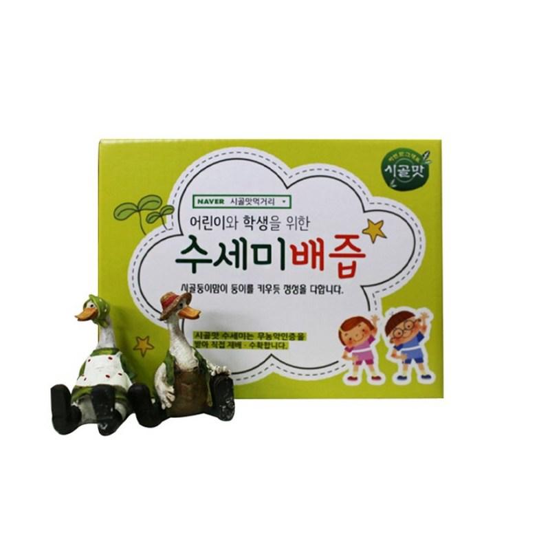 Country taste food loofah pear juice for children and students, 120ml, 50 pieces