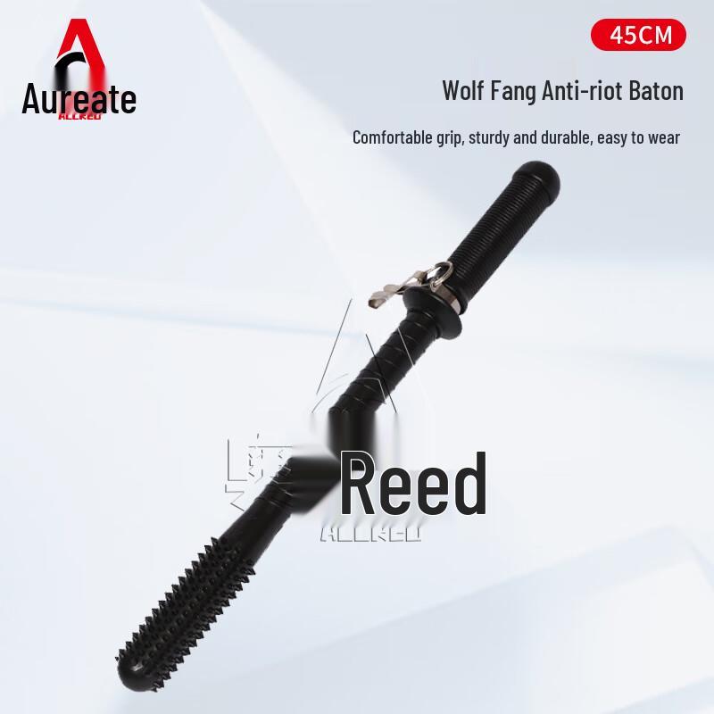 Aoruid Security Martial Arts Batons