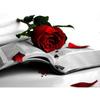 Pittura diamante 5D fai da te vaso rose diamante arte mosaico diamante ricamo trapano rotondo completo decorazione della casa