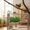 Pet Grass Hammock For Parrots Squirrels Hamsters Large Medium Small Sized Birds And Rodents Climbing Toy With Suction Cup Hook