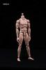 Neinei Male Action Figure Body Set [Tbmodel] 1/6 MX02-A