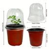 1set Soft Seedling Trays With Humidity Domes Dome Lids Drainage Holes Plastic Seed Starters For Seedlings Herbs Cacti Ferns