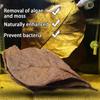 Fish Cleaning Acid Effect Fish Treatment Terminalia Leaves Aquarium Tank Decor Terminalia Leaves