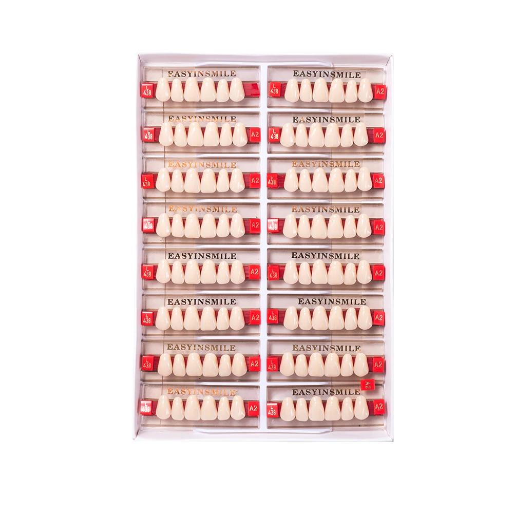 16/12 Sätze/Karton Zahnprothese Zähne Oberkiefer Frontzähne Unterkiefer Seitenzähne Dentier Synthetisches Polymerzähne Zahnmedizinische Ausbildungsmodell