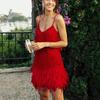 2025 Summer Women's Tassel Sequin Feather Stitch Dress