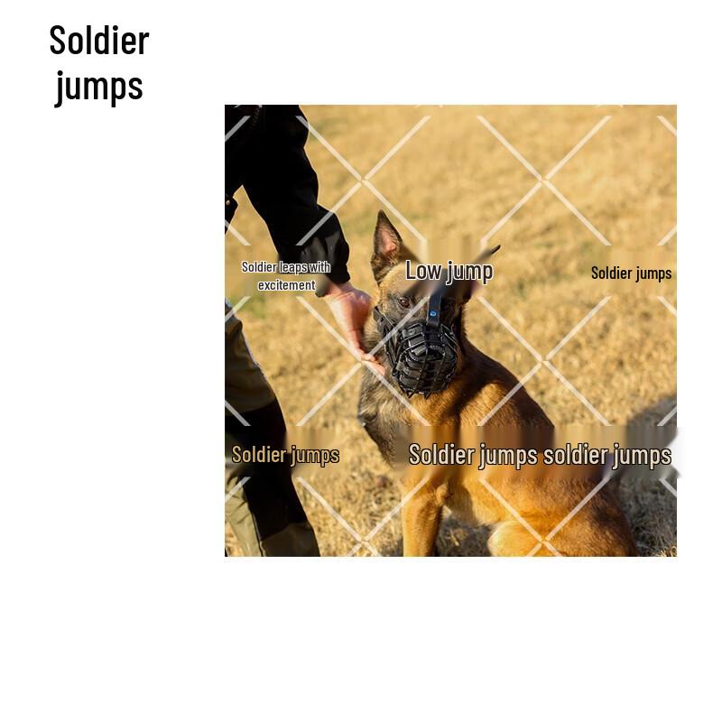 Bingyue Leather Dog Training Muzzle