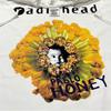 RADIOHEAD 1993 Vintage Pablo Honey Tour  Single Stitch T-Shirt REPRINT