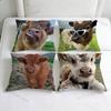 Cute HHighland Cow Decorative Square Pillow Cover Modern Cushion Case for Living Room Bedroom