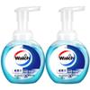 Health Care Foaming Hand Wash