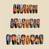 Halloween Press On Nail Medium Length Square Shape With Pumpkin Cobweb Design ABS Material For Party Costume Nail Art