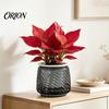 Deep Soil Planting Basin Self Watering Planter with Wick Rope for Indoor Plants, Double Layer Pot Home Transparent Hydroponic Planter, Decorative