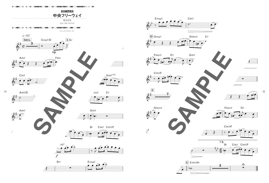 Japanese City Pop Played On the Trumpet Karaoke CDs (2 Included)