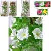 Fake Morning Glory Vine For Stunning Indoor And Outdoor Decoration**