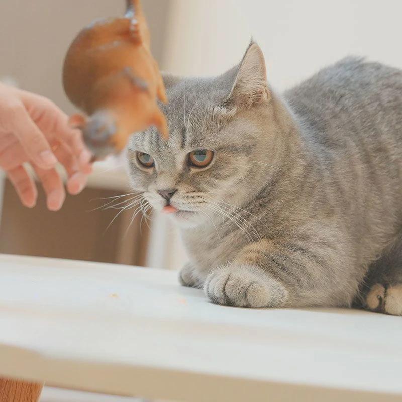 Realistisches Katzen-Maus-Spielzeug Weicher Gummi-Teaser mit Bissfestem Design für Kätzchen Zahndurchbruch Training Spielen Interaktives Haustierspielzeug