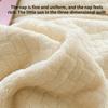 Winter Milk Flour Four Piece Set Solid Coral Flour Duvet Cover Thickened Double Face Flannel Antistatic Carved Flour