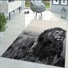 Washable Printed Carpet RVGHOME1444