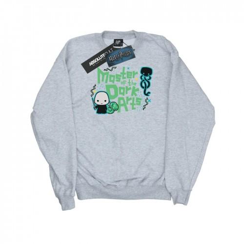 Harry Potter Mens Voldemort Dark Arts Junior Sweatshirt