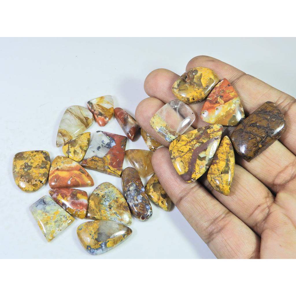 275Cts. Natural Forest Agate Fancy Cabochon Loose Gemstone 21 Pcs Lot C-1951