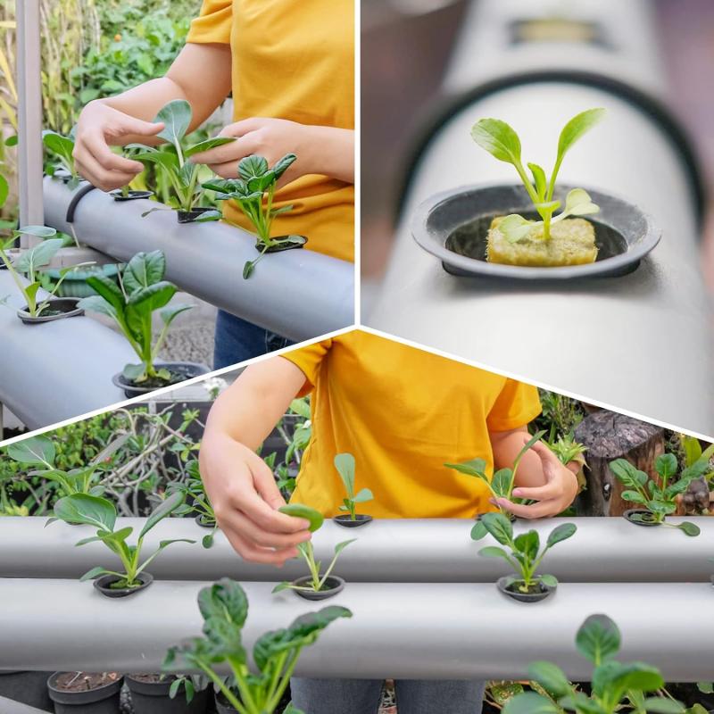 Seedling Grow Plug Sponge Block Starter Rock Wool Planting Grow Cubes Hydroponics Cuttings Garden Plant Propagation Grow Supply