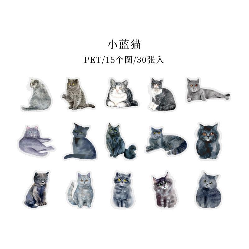 

30sheets Cute Cat Stickers Pack Anime Resin Transparent Water Bottle Waterproof Stickers Aesthetic for Laptop