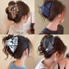 Elegant Shell Triangle Hair Claw Clips