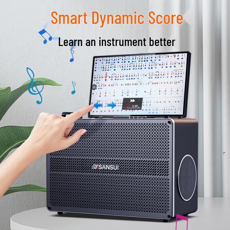 SANSUI C7 Home KTV Audio Amplifier System CN Plug (adapter Included)