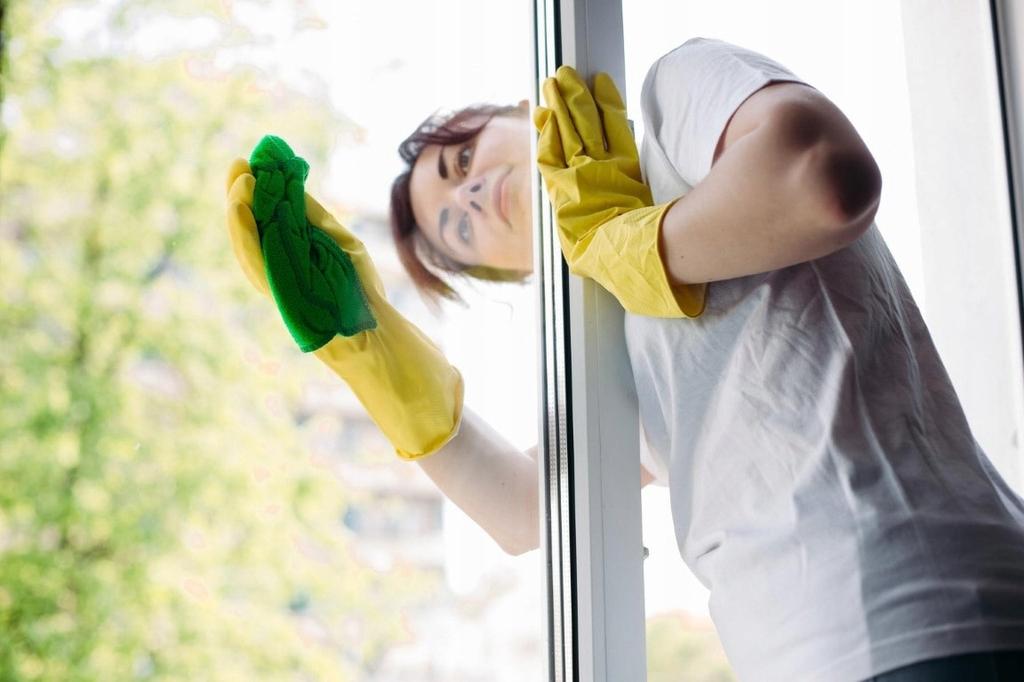 Window Plus Window and Mirror Cleaner 750ml