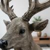 3D Deer Head Wall Mount Detailed Decor Lifelike for Entryway,