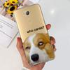 Schöne Hülle mit Aufdruck für Sony Xperia XA2 Ultra / Xperia XA2 Weiche Silikon-TPU-Rückabdeckung für Sony XA 2 2Ultra Handyhüllen