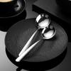 Abay Elegant 316 Stainless Steel Spoon