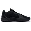 Nike Sabrina 2 Slip Resistant Abrasion Resistant Low Top Basketball Shoes Unisex Black FZ1517-001(Team741-)