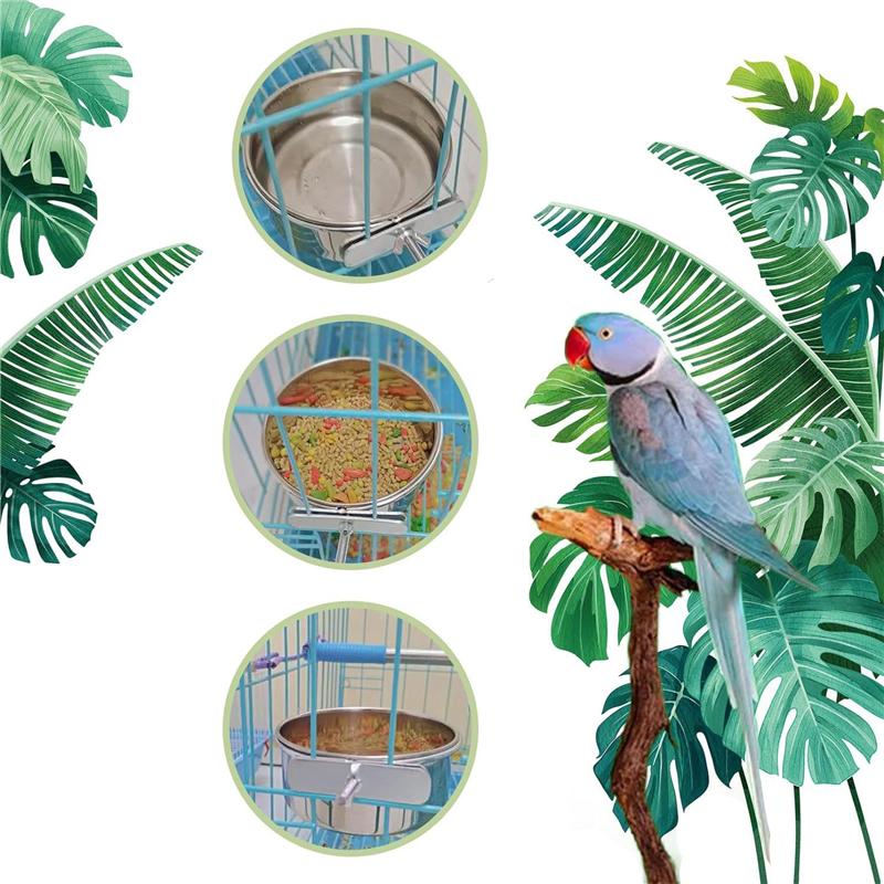 T02C!6 Pieces Stainless Steel Bird Feeding Dish Cups Parrot Feeder Parakeet Food Water Bowls With Clamp Holder & Bird Spoon